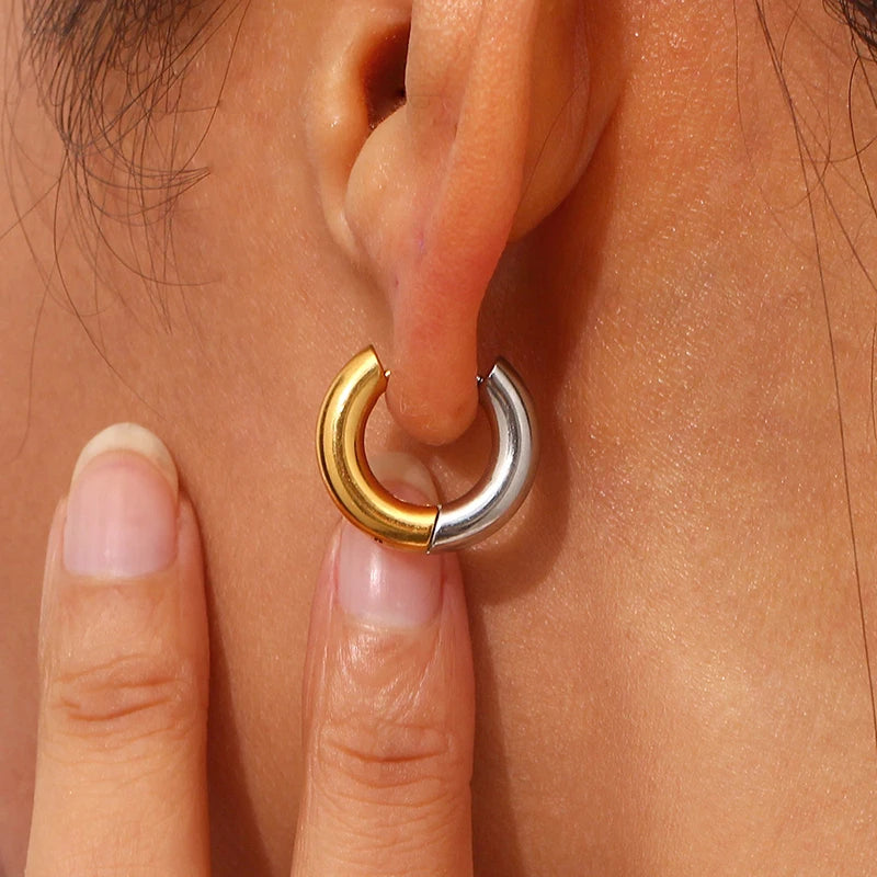 Duo Color Earring