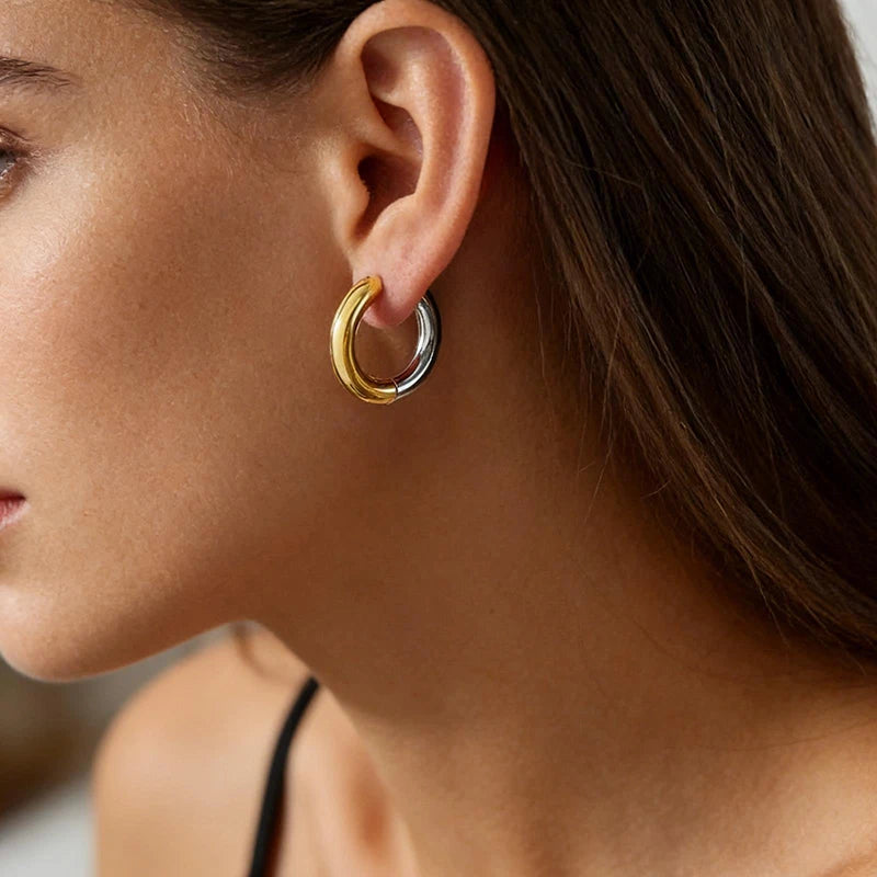 Duo Color Earring