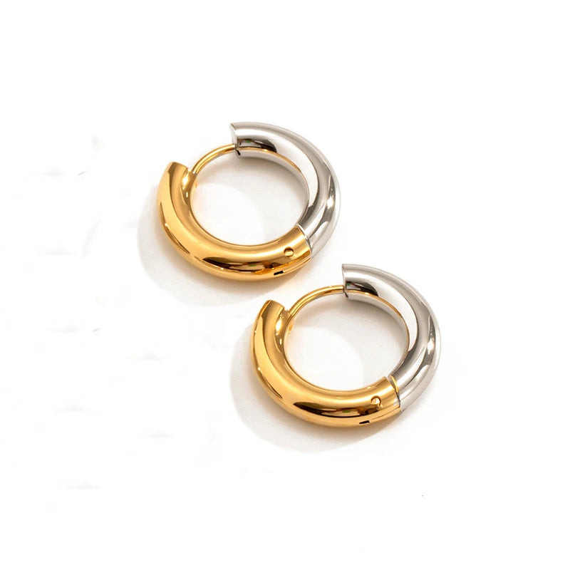 Duo Color Earring