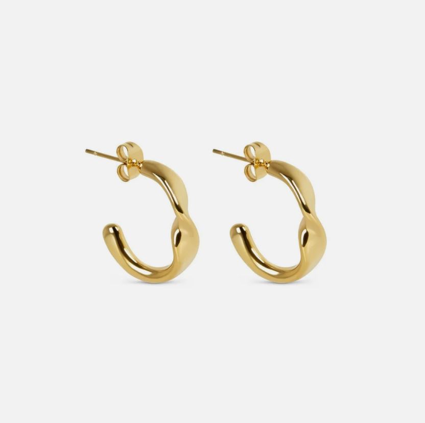 twist ring Earrings