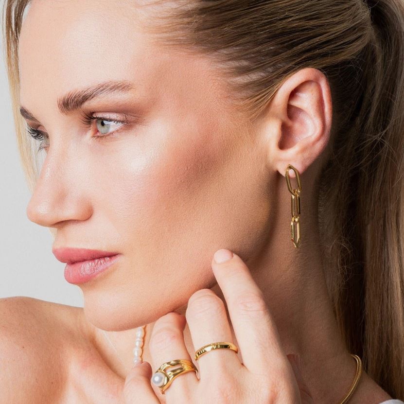 pendent links Earring